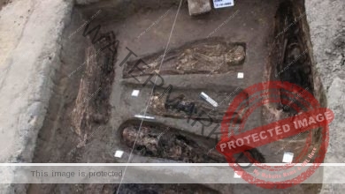الكشف عن مجموعة من المقابر بتل آثار الدير بمدينة دمياط الجديدة