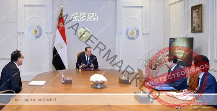 السيسي يتابع جهود الدولة للبحث والاستكشاف للغاز الطبيعي والبترول