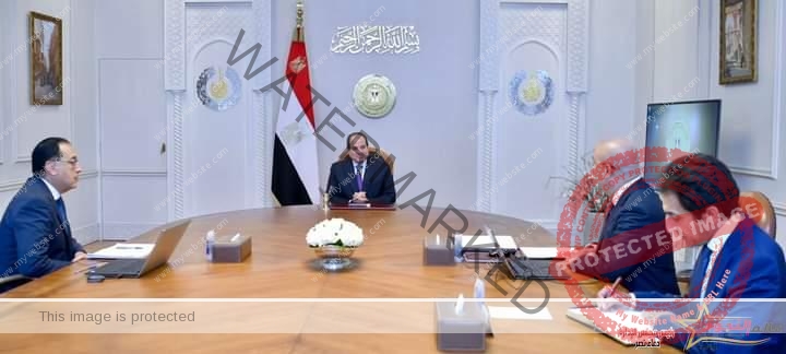 السيسي يطلع على نتائج الزيارة الأخيرة للوفد الوزاري المصري إلى تنزانيا 
