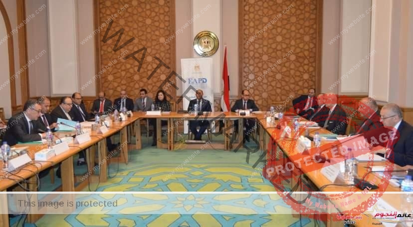 وزير الخارجية يترأس اجتماع مجلس إدارة الوكالة المصرية للشراكة من أجل التنمية