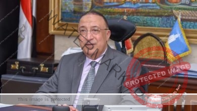 محافظ الإسكندرية يرسل برقية تهنئة لفخامة الرئيس بمناسبة حلول العام الميلادي الجديد