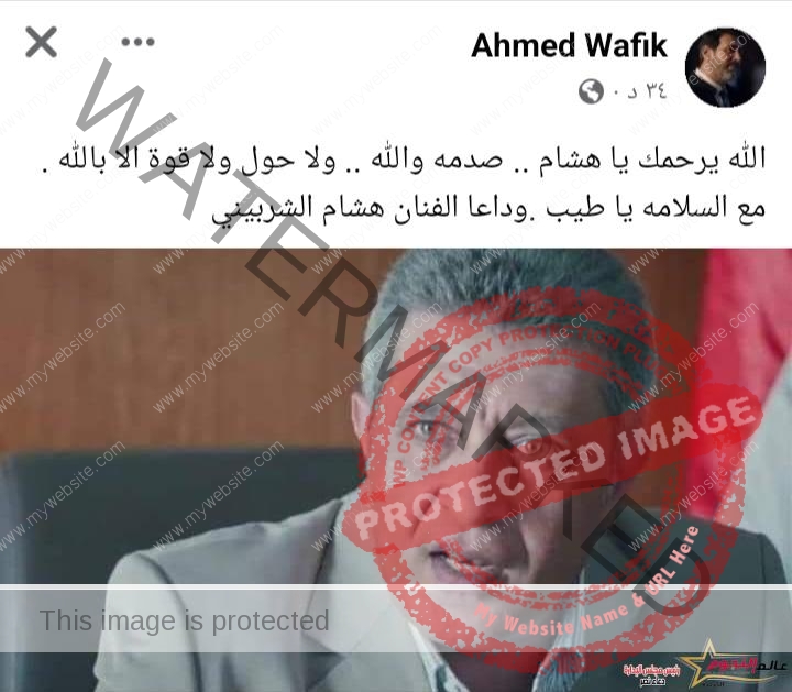 أحمد وفيق ينعي الفنان هشام الشربيني