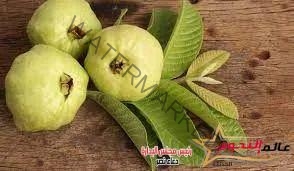 فوائد أوراق الجوافة للصحة