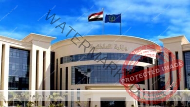 وزارة الداخلية: القبض على شخصين أثناء التنقيب عن الآثار بالقاهرة