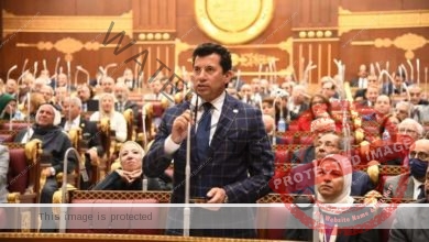 صبحي يشارك فى الجلسة العامة بمجلس الشيوخ 
