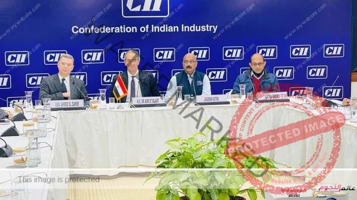 طلعت يلتقى مع أعضاء اتحاد الصناعة الهندي CII