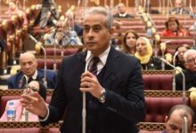وزير القوى العاملة يستعرض أمام مجلس الشيوخ خطة "الوزارة" 