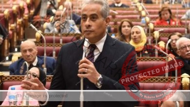 وزير القوى العاملة يستعرض أمام مجلس الشيوخ خطة "الوزارة" 