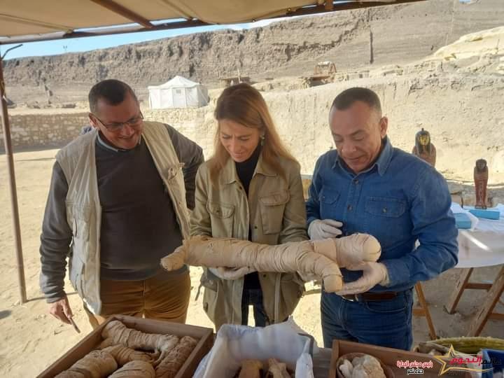 زيارة مدير المكتب الإقليمي لليونسكو لمنطقة آثار سقارة