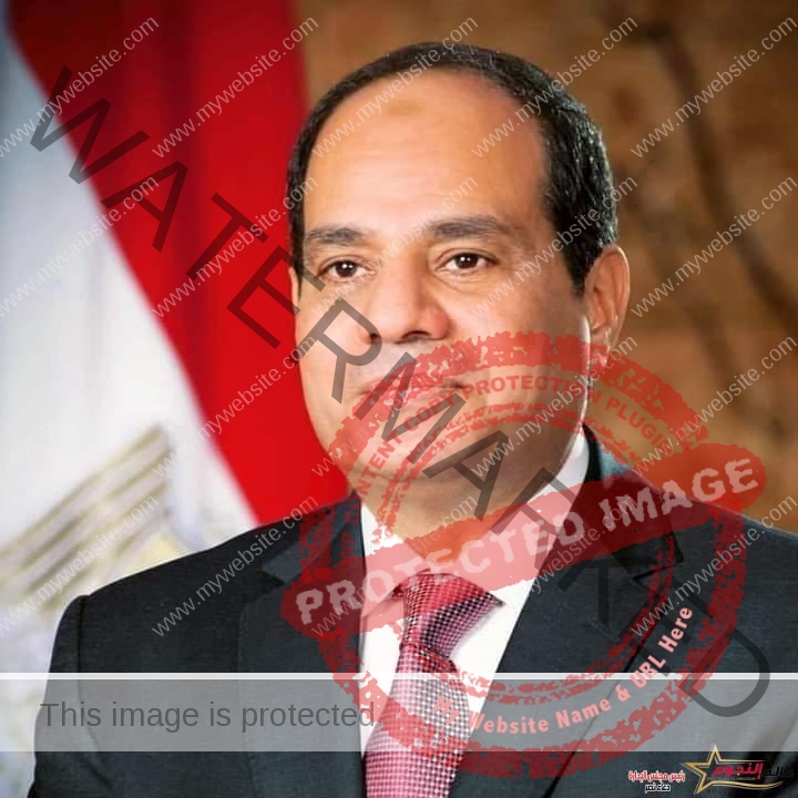 محافظ الفيوم يهنئ رئيس الجمهورية بمناسبة ثورة 25 يناير وعيد الشرطة