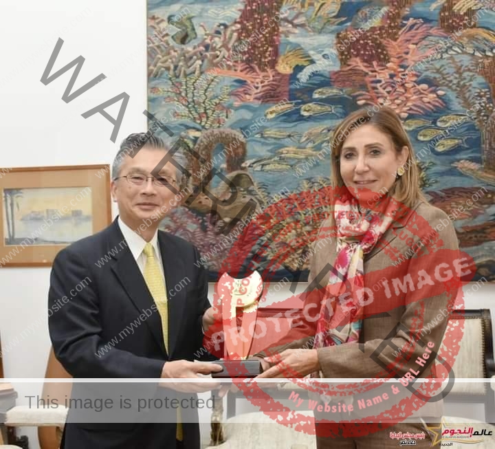 الكيلاني تلتقي سفير اليابان لدى القاهرة لبحث أطر التعاون الثقافي بين البلدين