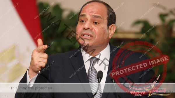 زيارات وزير الري لدول حوض النيل يدعم موقف مصر في قضية سد النهضة