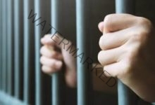 جنايات القاهرة: حبس متهم بالسجن المشدد 3 سنوات وغرامة مالية قدرها 100 ألف جنيه