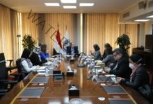 وزير المالية: "القطاع الخاص" شريك أساسي فى تحقيق حلم كل المصريين بالتأمين الصحي الشامل