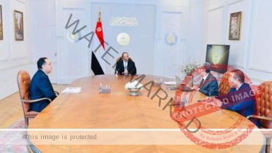 السيسي يجتمع رئيس الوزراء ووزير الكهرباء 