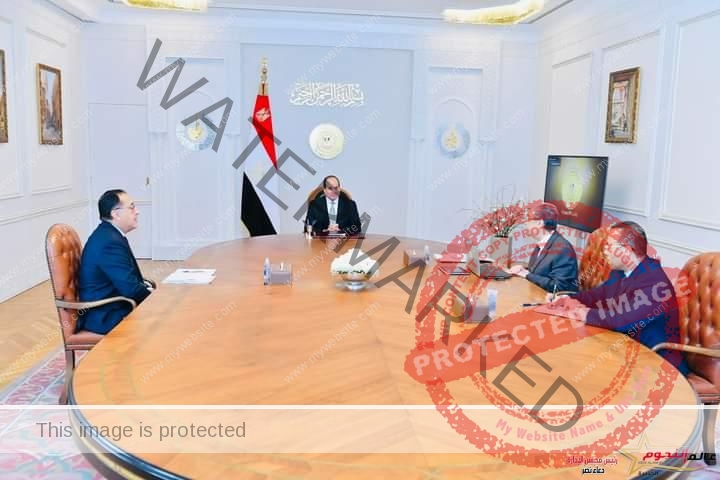 السيسي يجتمع رئيس الوزراء ووزير الكهرباء 