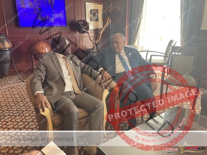 وزير الخارجية يلتقي وزير خارجية جمهورية الكونغو الديمقراطية 