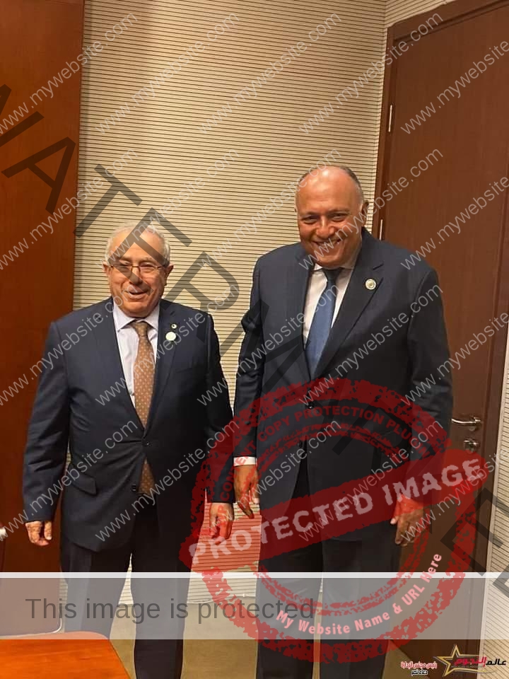 وزير الخارجية يلتقي مع السيد رمطان لعمامرة وزير خارجية الجزائر