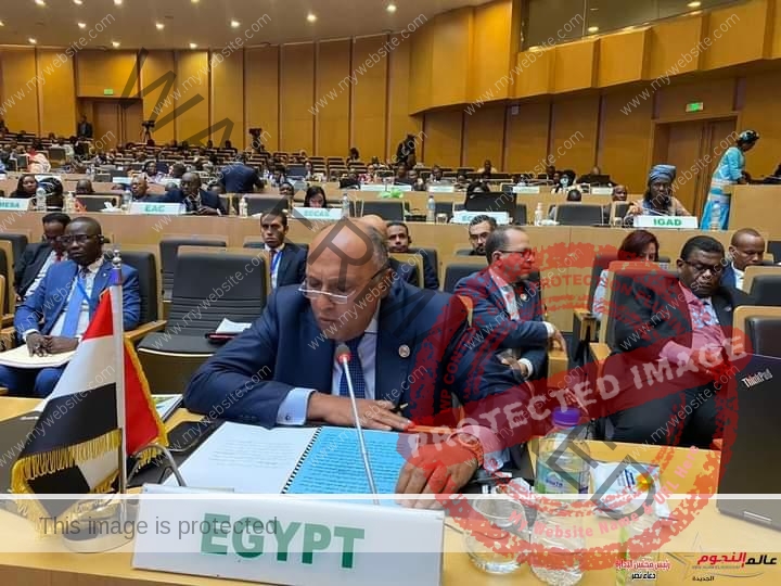 شكري يلقي كلمة مصر حول البند الخاص بجلسة رؤساء الدول والحكومات الإفريقية العشر 