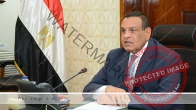 آمنة يستقبل وفد البنك الدولى لمتابعة آخر مستجدات برنامج التنمية المحلية بصعيد مصر 