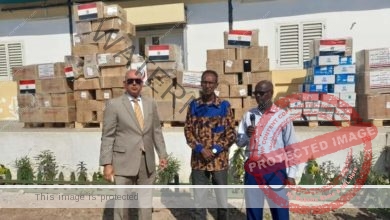 مصر تهدي جيبوتي شحنة مساعدات طبية