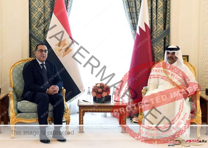 جلسة مباحثات مصرية- قطرية موسعة برئاسة رئيسى وزراء البلدين
