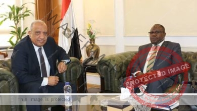 عصمت يستقبل سفير زامبيا بالقاهرة لبحث تعزيز التعاون الاقتصادي 