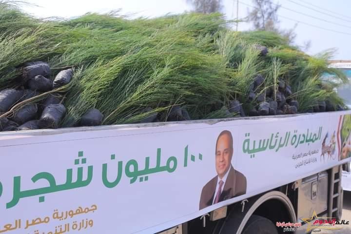 محافظ دمياط استلام 100 الف شجرة ضمن أعمال المبادرة 100 مليون شجرة