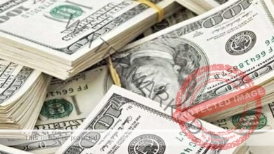 أسعار صرف الدولار الأمريكي مقابل الجنيه المصري اليوم السبت