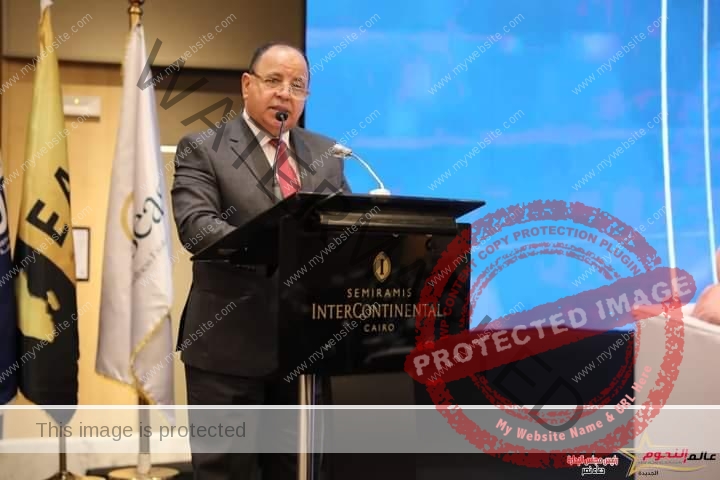 وزير المالية: إعادة تشكيل الوجه الاقتصادي لمصر بتمكين القطاع الخاص