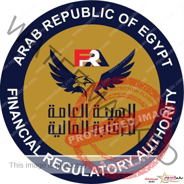 "الرقابة المالية" تشكل لجنة تنسيقية للمجمعة المصرية لتأمين السفر للخارج لتطوير عملها