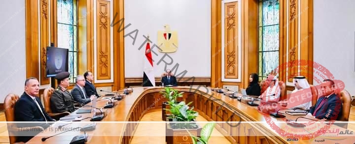 الرئيس عبد الفتاح السيسي يستقبل الرئيس التنفيذي لمجموعة موانئ أبوظبي