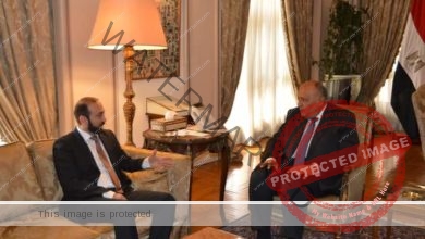 وزير الخارجية يستقبل وزير خارجية أرمينيا
