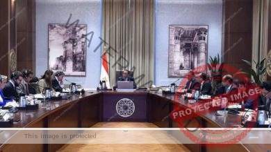 رئيس الوزراء يلتقي وفدا فرنسيا يضم سياسيين وكتابا وصحفيين لشرح موقف الحكومة المصرية تجاه عدد من القضايا المهمة