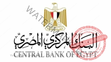 إطلاق الموقع الإلكتروني الجديد للبنك المركزي المصري