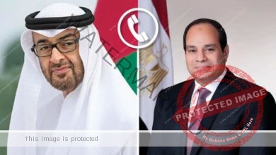 السيسي يقدم التهنئة لرئيس دولة الإمارات العربية المتحدة 