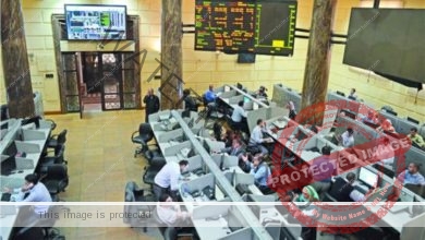 البورصة المصرية يشهد صعود 12 قطاعًا خلال تعاملات الأسبوع المنتهى