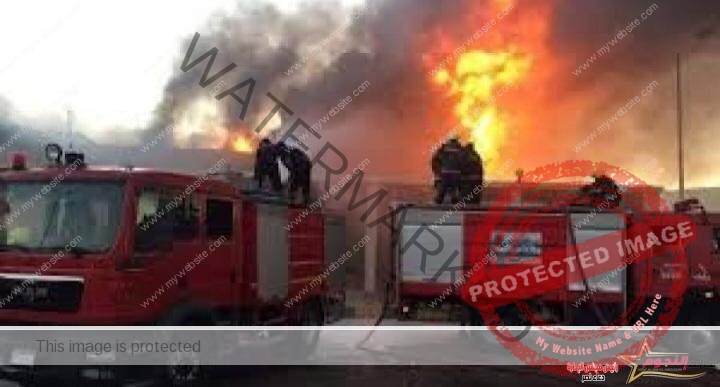 الحماية المدنية تسيطر علي حريق نشب فى مزرعة نخيل بالخارجة في محافظة الوادى الجديد
