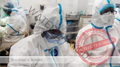 عاجل … كوريا الجنوبية تسجل 21 ألفا و385 إصابة جديدة بفيروس كورونا خلال الـ 24 ساعة الماضية