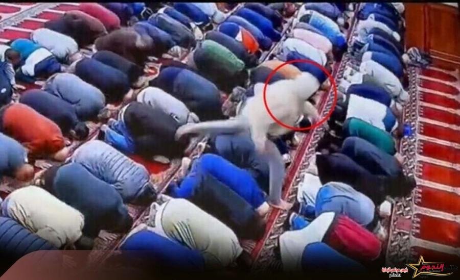 طعن إمام مسجد أثناء صلاة الفجر في ولاية نيوجيرسي الأمريكية