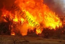 الحماية المدنية تسيطر على حريق نشب بأرض زراعية ببنها