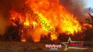 الحماية المدنية تسيطر على حريق نشب بحظرتين للماشية فى محافظة المنوفية
