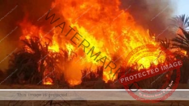 الحماية المدنية تسيطر على حريق نشب بأرض زراعية ببنها