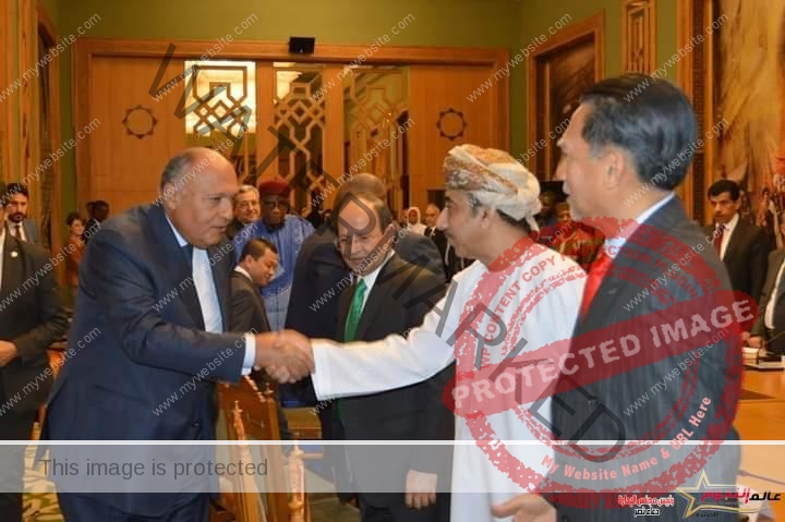 وزير الخارجية يلتقي مع سفراء الدول الأعضاء بمنظمة التعاون الإسلامي