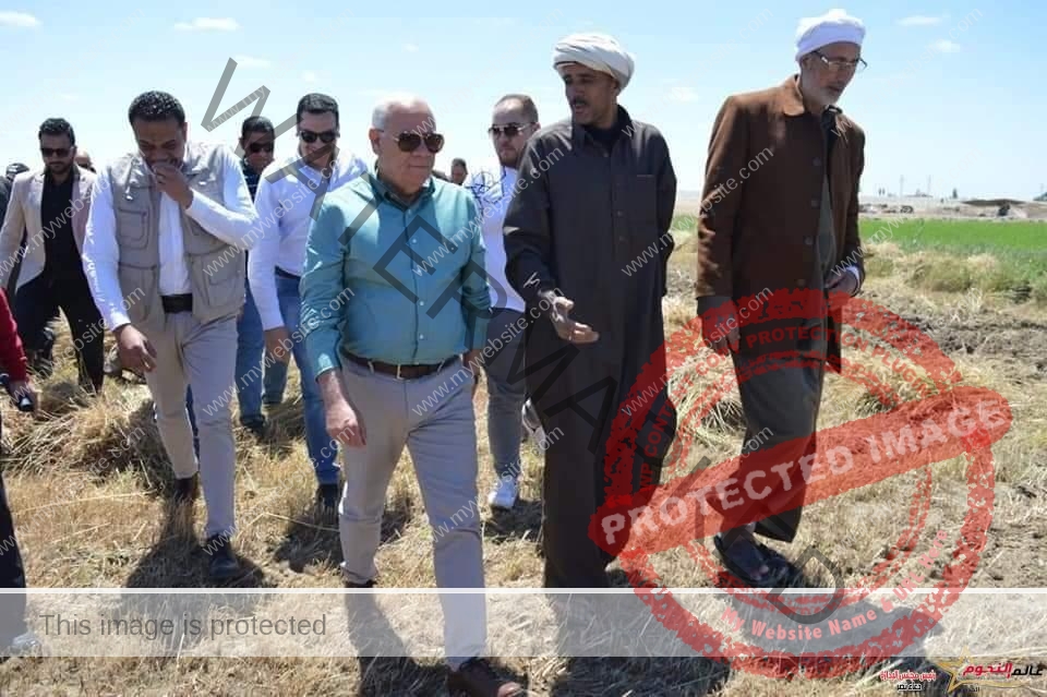 محافظ بورسعيد : بدء موسم حصاد محصول القمح خلال 15 أبريل الجاري