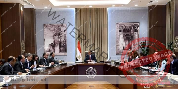رئيس الوزراء يتابع جهود تطوير مدينة الأثاث بدمياط