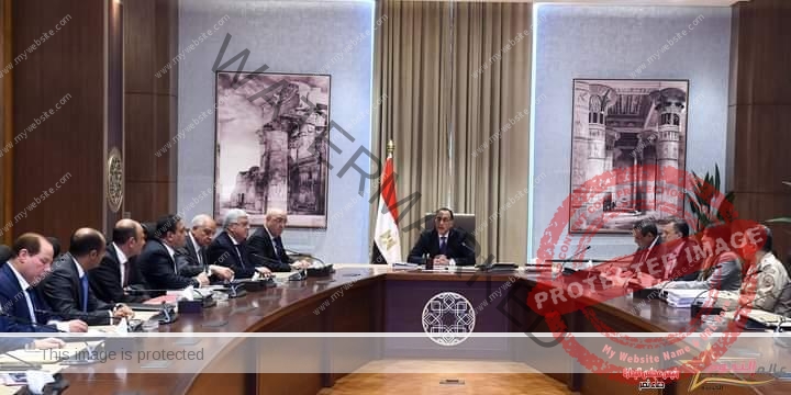 رئيس الوزراء يتابع الموقف التنفيذي للمتحف المصري الكبير وتطوير المنطقة المحيطة به