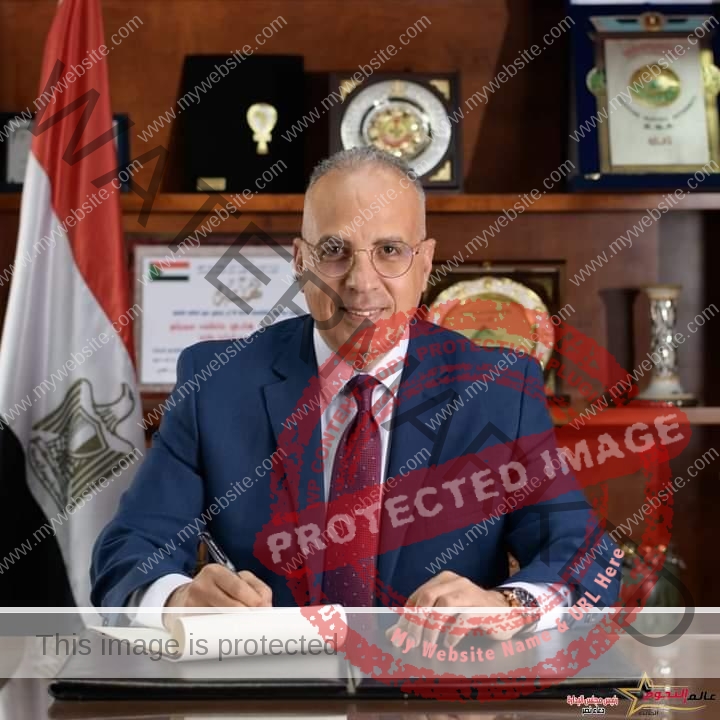 سويلم يتابع أحوال المصريين بدولة السودان