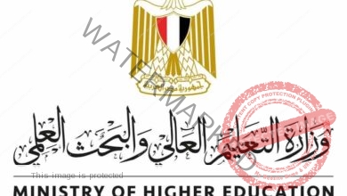 التعليم العالي: تنسيق دائم مع الخارجية لمتابعة أوضاع الطلاب المصريين الدارسين بالجامعات السودانية