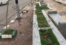 تكثيف حملات النظافة والتجميل بالشوارع والمتنزهات العامة بنطاق محافظة الشرقية 